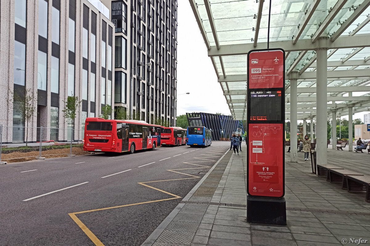 1195 автобус ховрино шереметьево. экспресс автобус шереметьево ховрино. автобус до аэропорта шереметьево. экспресс 1195 шереметьево-ховрино. лиаз 5292 аэроэкспресс.
