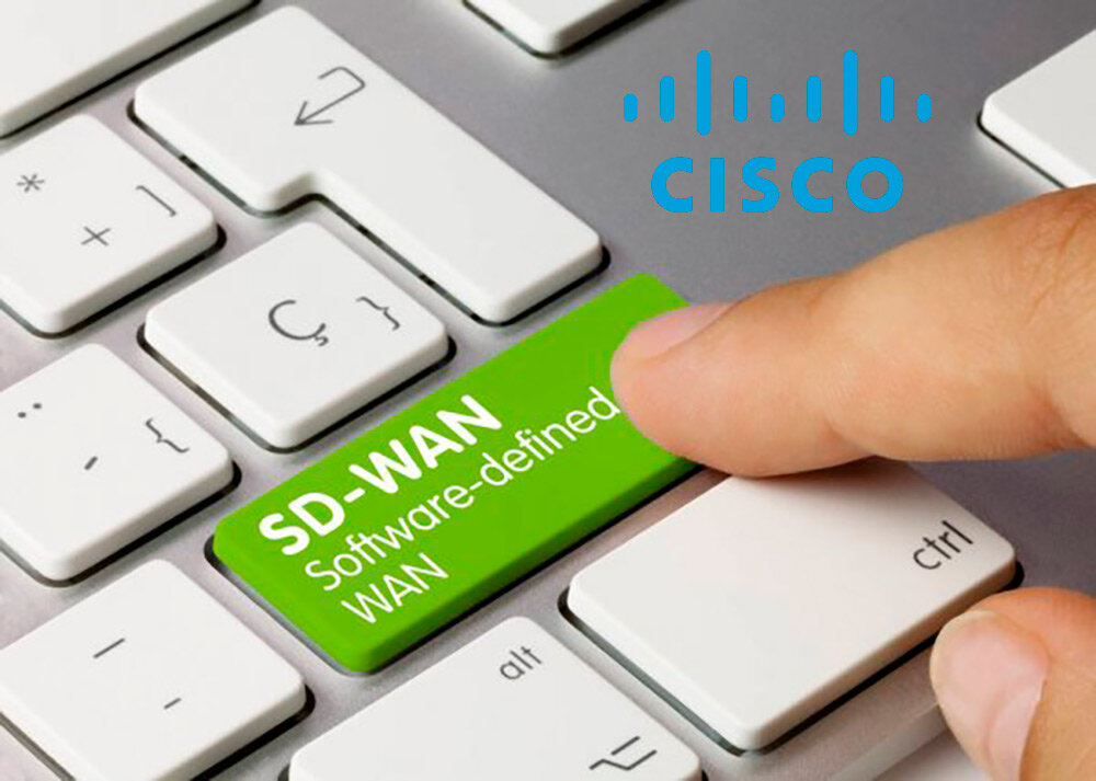 SD-WAN (Software Defined) 