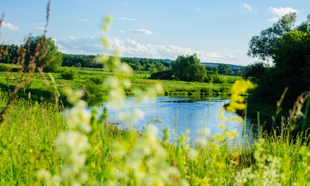Фото — yandex.ru