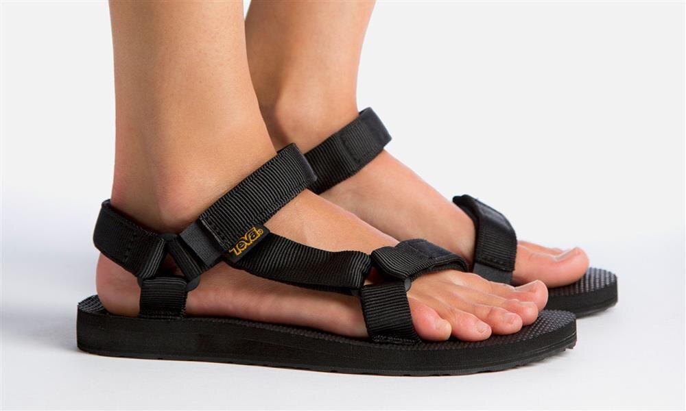 Фото из интернета .Свободный доступ.