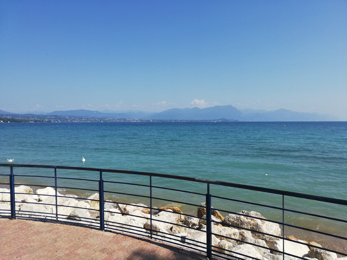 © www.zen.yandex.ru/2019