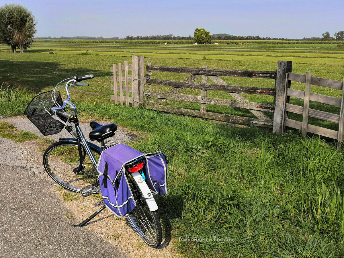 Когда я в Голландии, я люблю ездить на велосипеде за город тоже. Фото: из личного архива