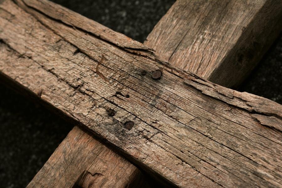 Фото: Pixabay