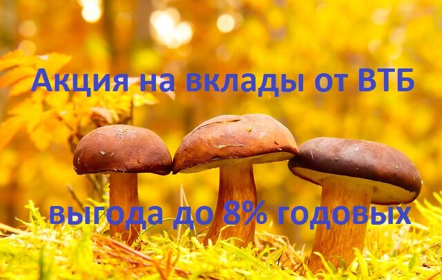 Акция Время-деньги от ВТБ