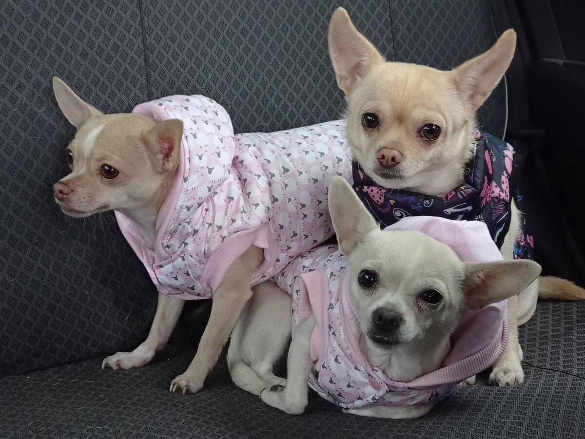 едем принимать доставку))