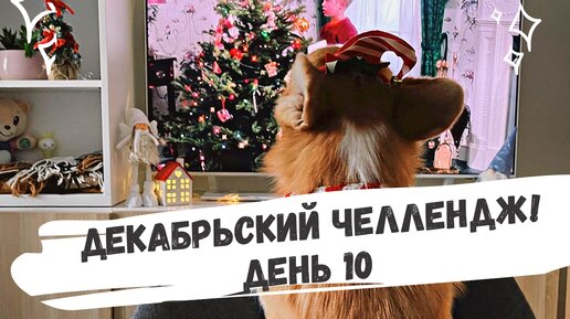 Декабрьский челлендж: день 10! Сырники и стих.