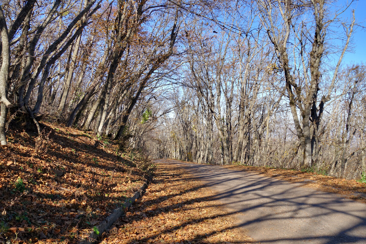 Дорога с Машука