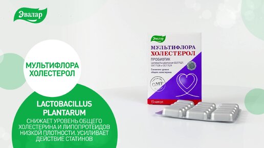 Пробиотики направленного действия — что это и для чего нужны? Рассказывает эксперт