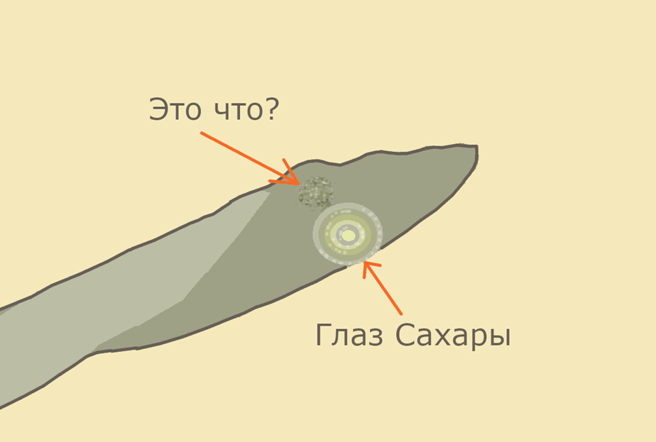 Рис. 2. Глаз Сахары и его "партнер"