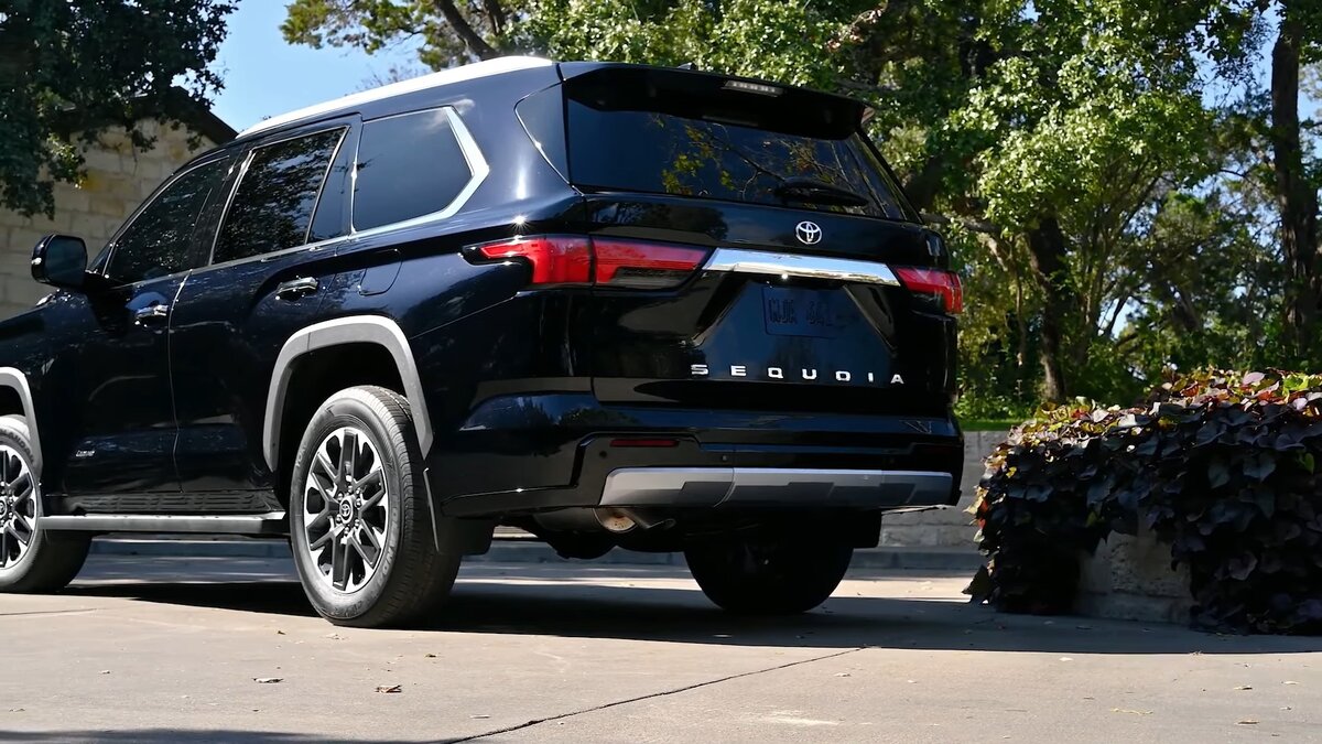 Фото из открытых источников 