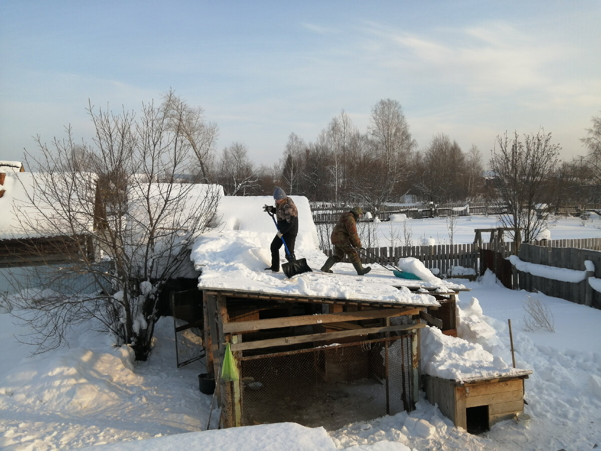 Из приюта часть волонтеров приехали на передержку и там очистили 3 больших вольера