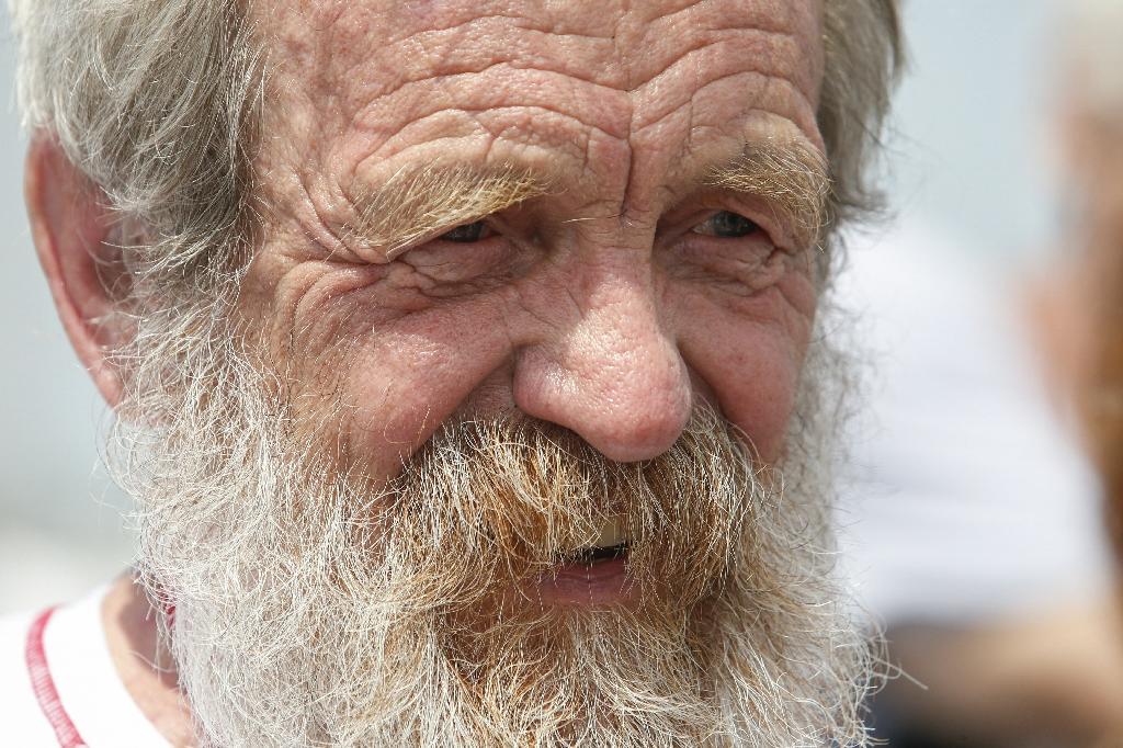 яндекс картинки бесплатно