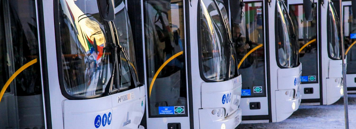 Фото: Павла Комарова,  nsknews.info