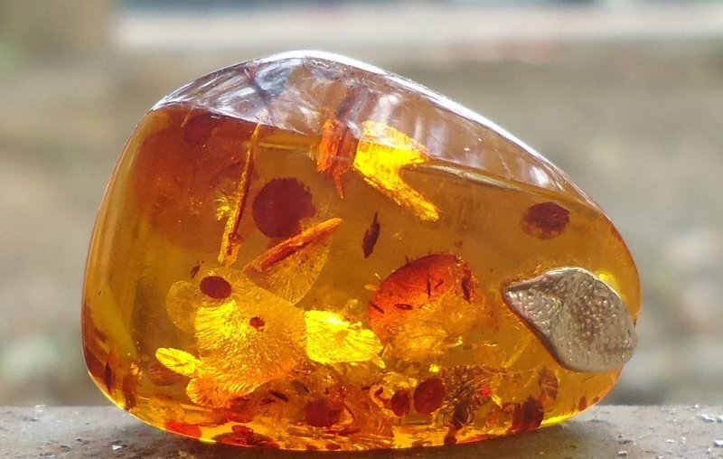 Прозрачный янтарь. Красивые вкрапления.