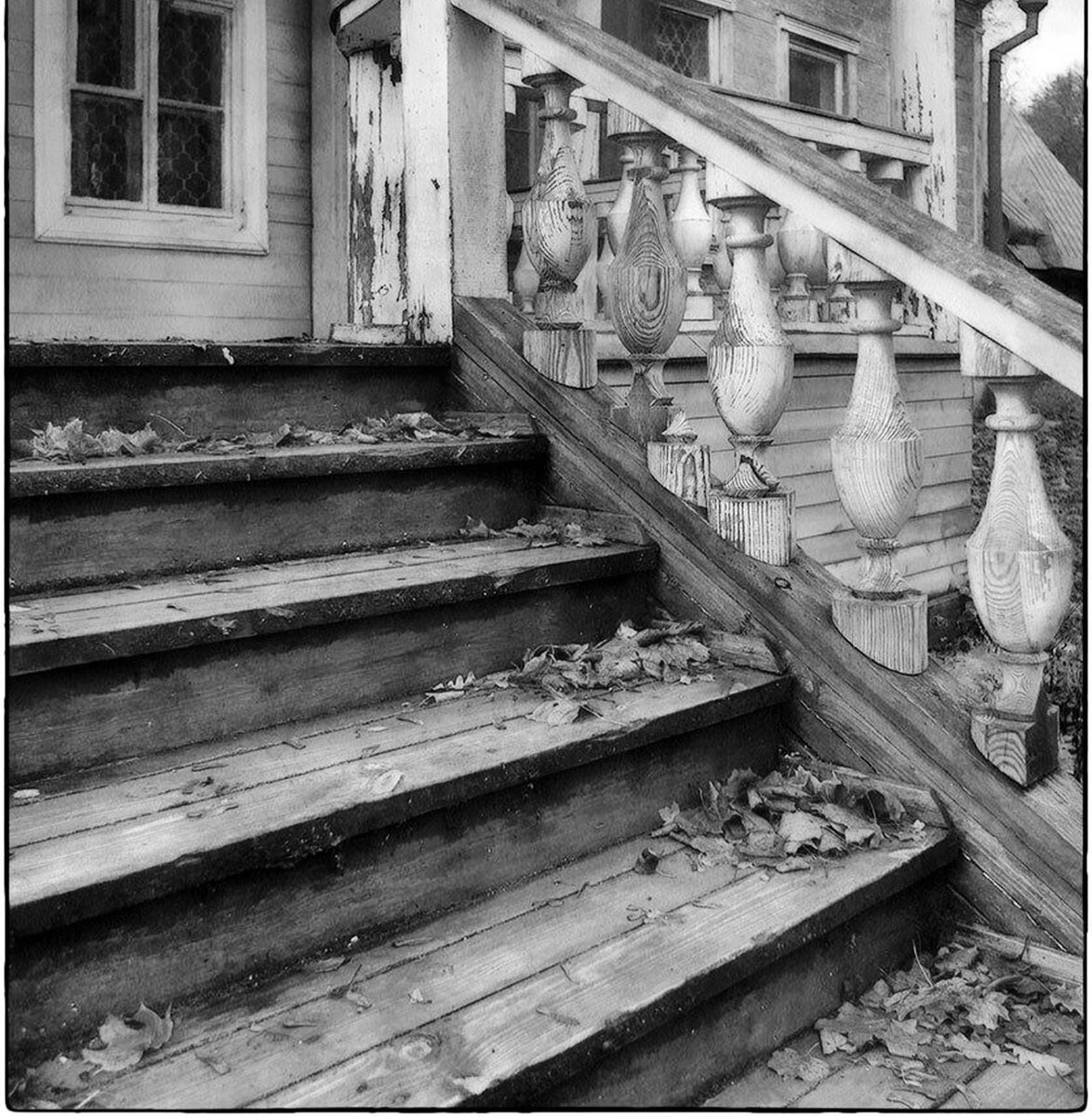 Фото из свободного доступа