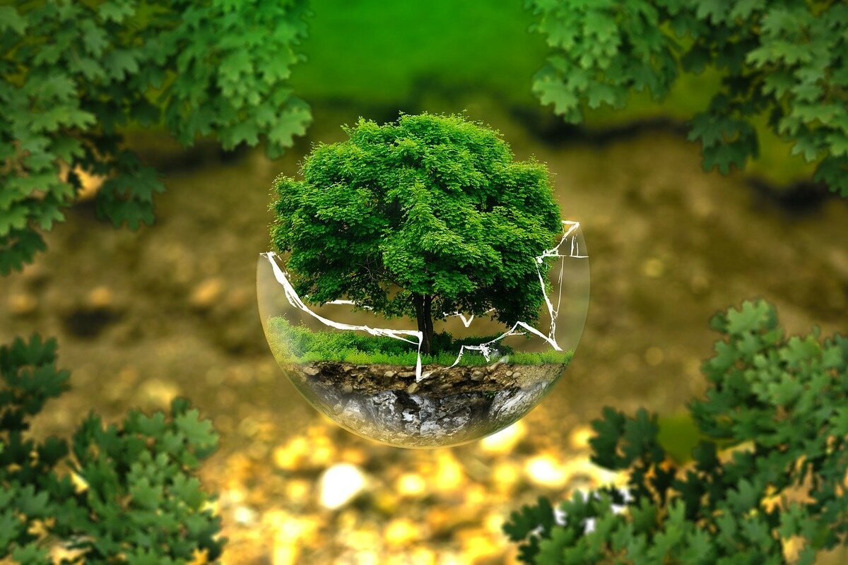 Фото  с сайта https://pixabay.com.