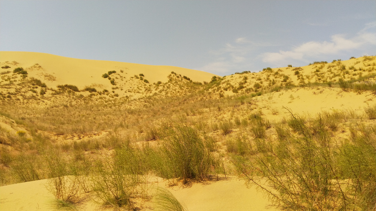 Дагестан. Бархан Сарыкум.