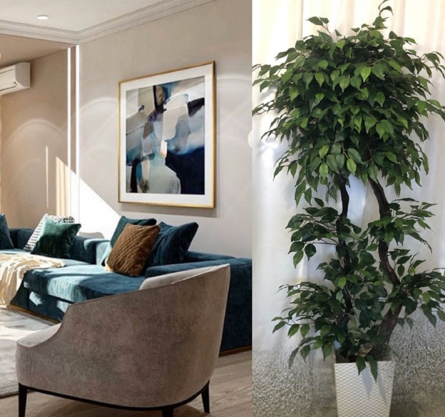 Растения для дома – красота и польза в одном цветочном горшке