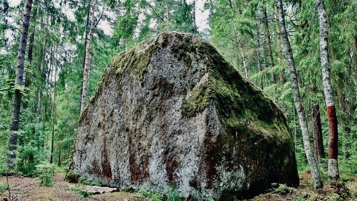 Яндекс Картинки