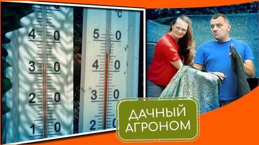 Высокий урожай в жару: вот что делает Дачный агроном