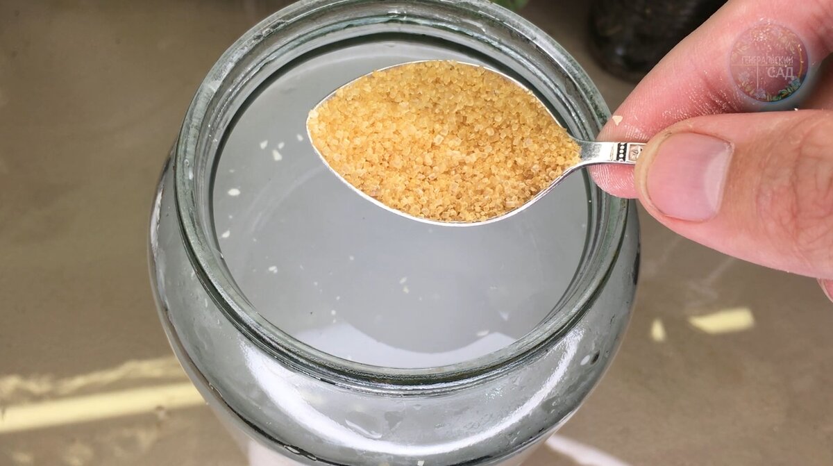 Yeast feeding