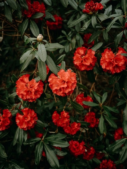 Изображение из открытого источника. Unsplash
