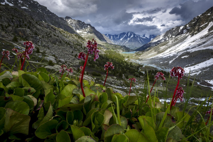 Красный лес. Фото: Илья Степанов, участник конкурса РГО "Самая красивая страна"
