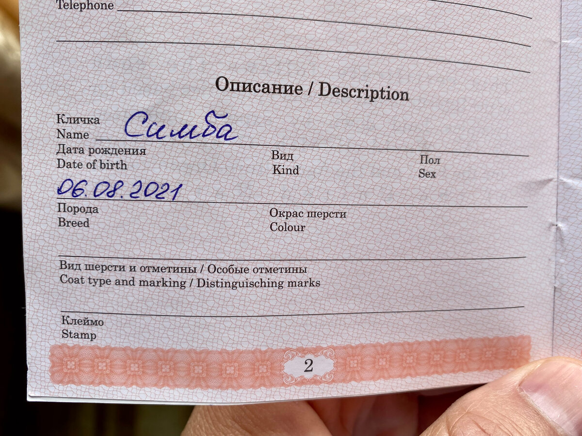 Надо будет не забыть заполнить остальные данные о Симбе. Написал я "не забыть" и тут же об этом забыл:)