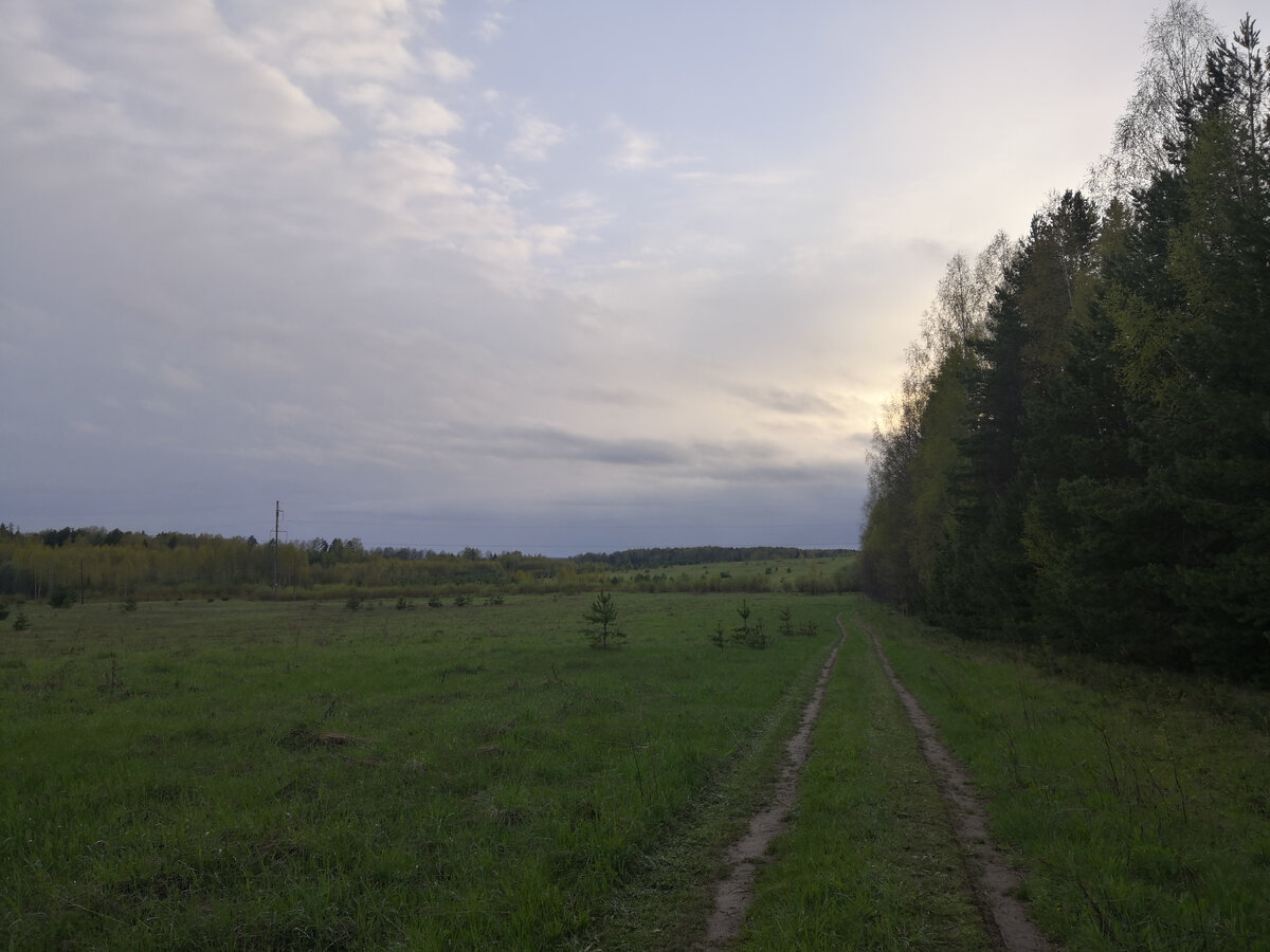 Прогулка
