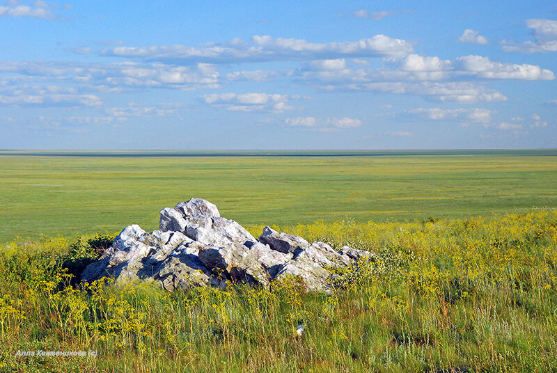 Таловская степь заповедник