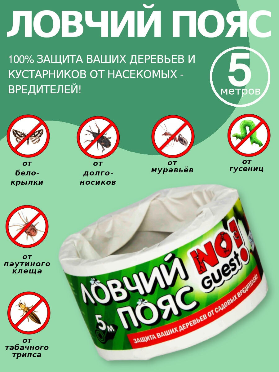 Фото из открытых источников.