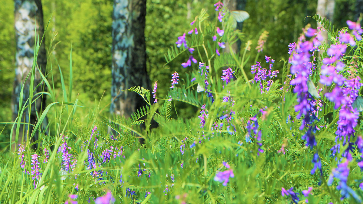 В поиске ярких впечатлений. Фото автора.