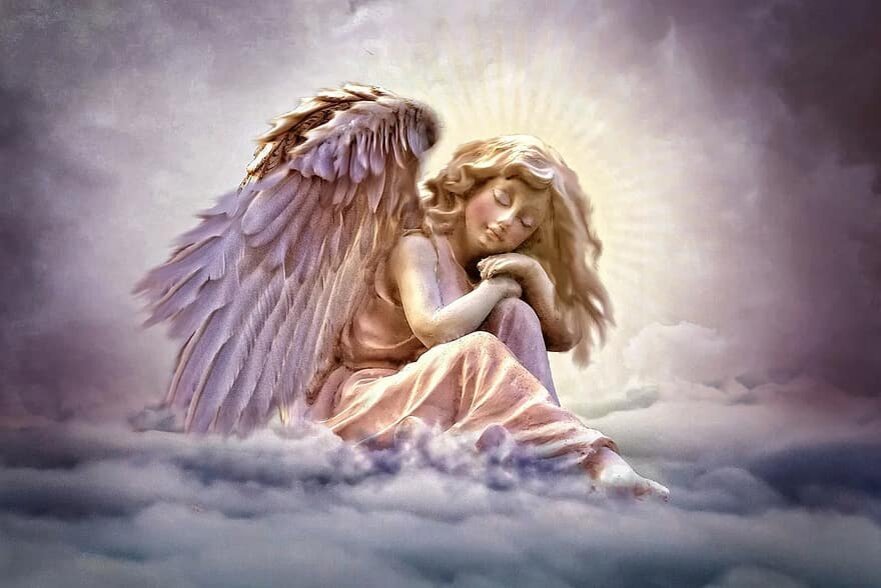 Фото из сети.