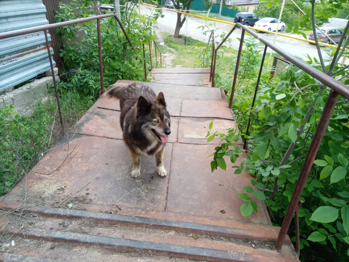 Буря, наш утренний компаньон по походам в школу и работу...