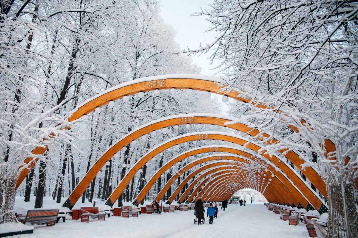 парк сокольники зимой