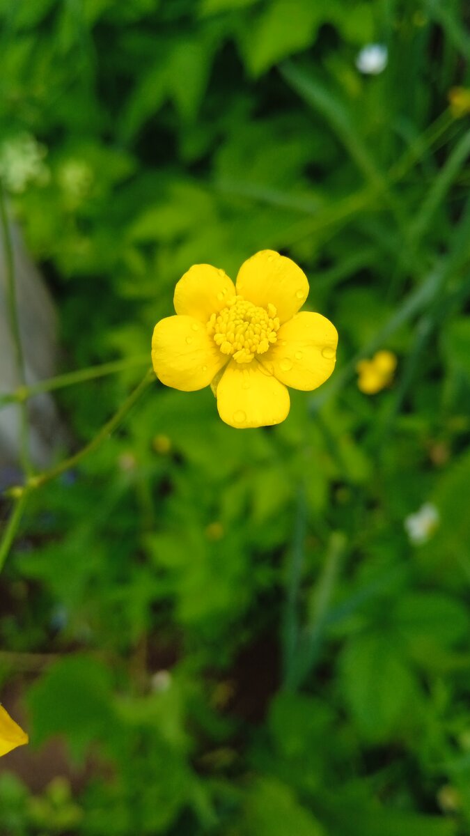 Уборка и подготовка инвентаря