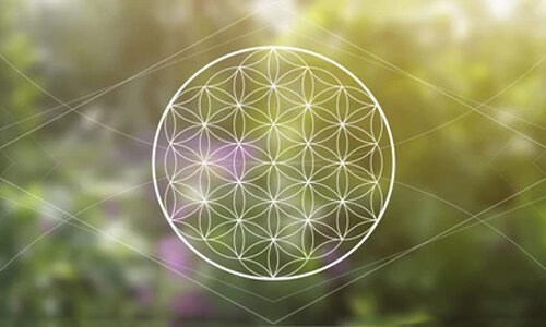 Цветок жизни - схематичное определение процесса взаимодействия с различными энергиями, необходимыми для жизни