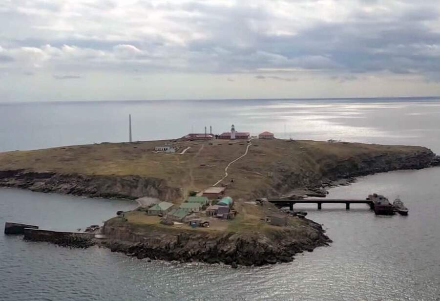 Фото: https://yandex.ru