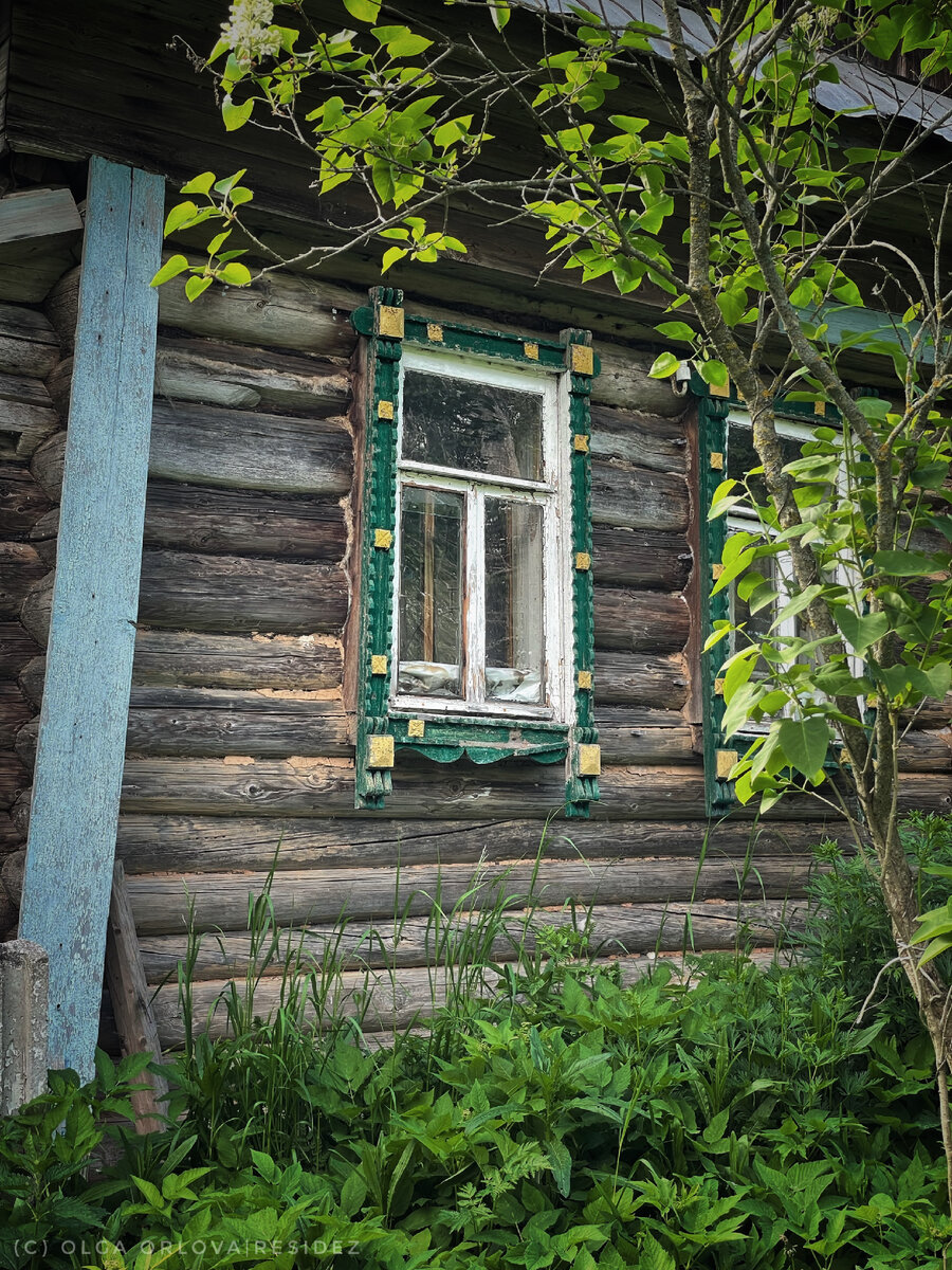 По заброшенным деревням Тверской. Часть 2. Самозахват брошенного дома. |  RESIDEZ | Душа России | Дзен