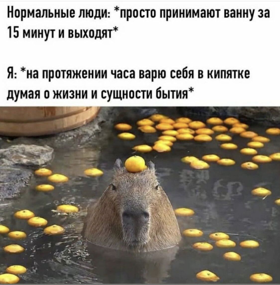 Источник: Интернет