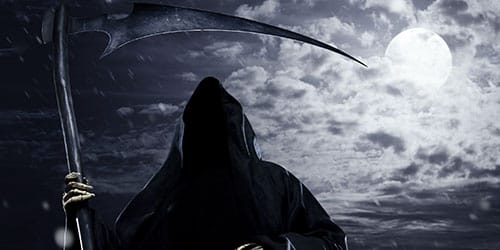 Фото взято из открытого источника © 2022 Любое копирование материала без согласия автора и прямой ссылки на канал запрещено.