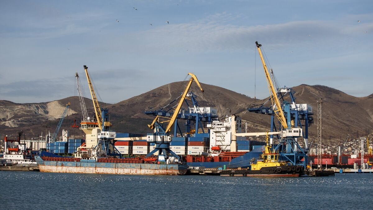    Суда на причале Новороссийского морского торгового порта© РИА Новости / Виталий Тимкив