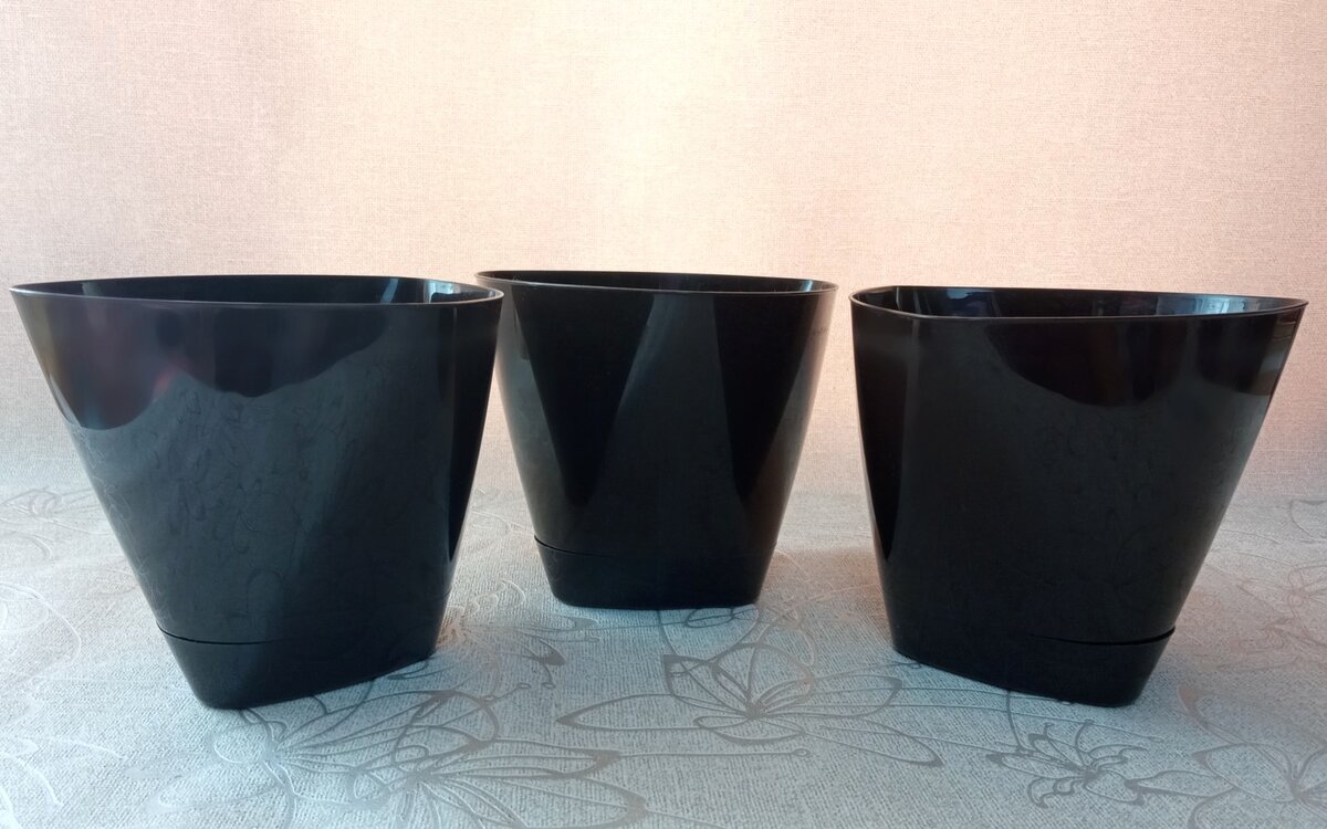 Достойный вид