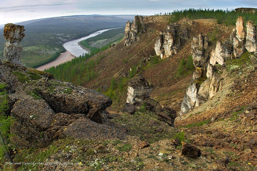 Фото: Виталий Горшков.