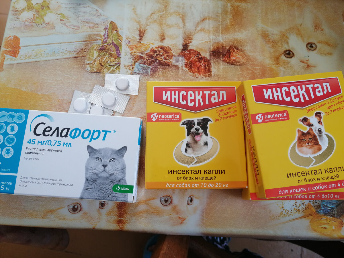 Наборчик