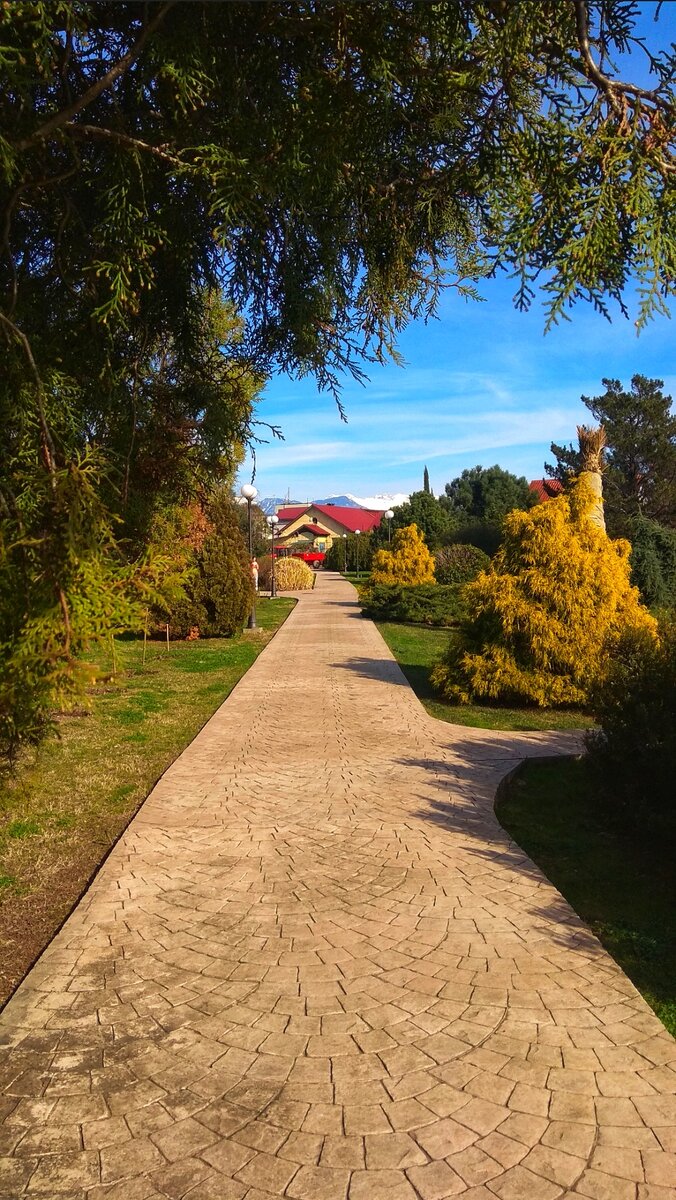 Верхняя часть парка с видом на заснеженные горы