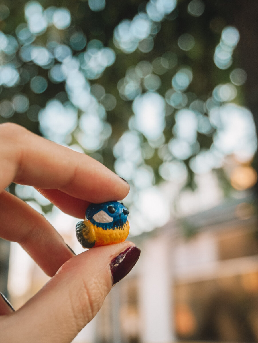 Мой первый птенец))