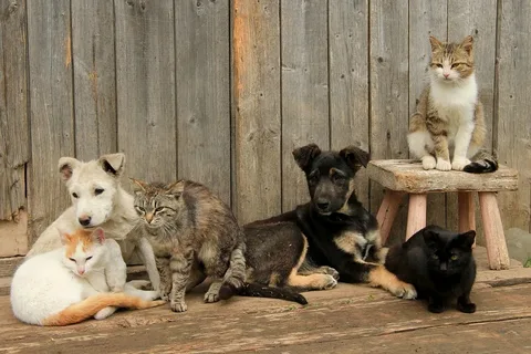 Фото из интернета