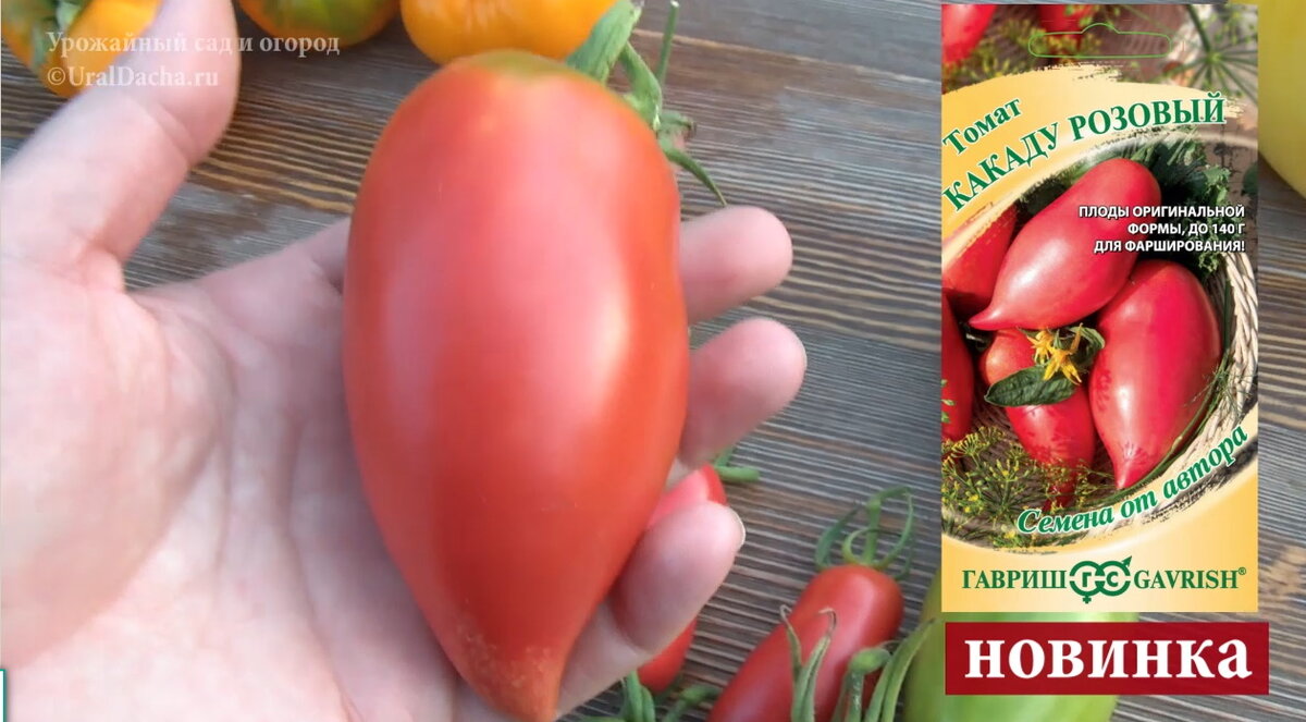 Сегодня мы разберём сорта и гибриды высокорослых томатов, которые высаживали в этом году.-6