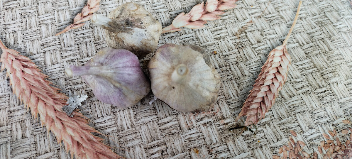 Белгородский красавчик!